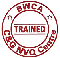 BWCA Logo